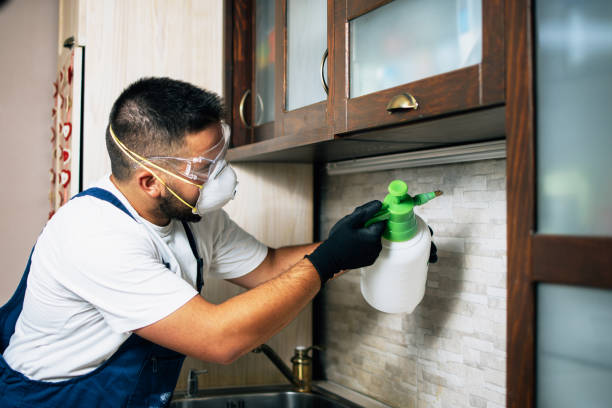 Best Pest Inspection Near Me  in Pompton Lakes, NJ