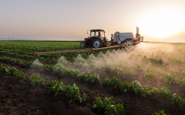 Best Commercial Pest Control Services  in Pompton Lakes, NJ