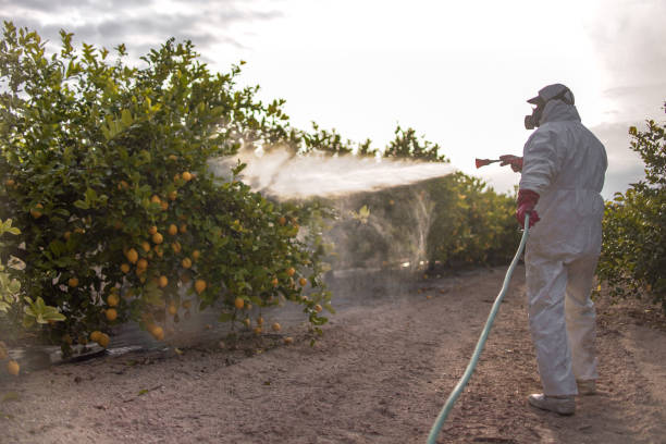 Best Commercial Pest Control Services  in Pompton Lakes, NJ