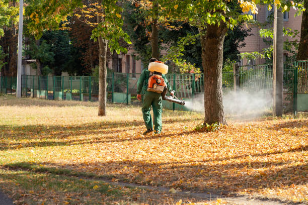Best Bed Bug Extermination  in Pompton Lakes, NJ