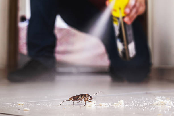 Pompton Lakes, NJ Pest Control Company