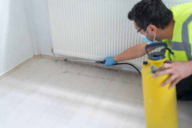 Best Wasp Removal Services  in Pompton Lakes, NJ