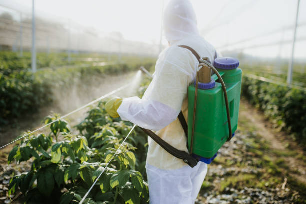 Best Wildlife Control Services  in Pompton Lakes, NJ